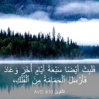 Picture 03 - اَلتَّكْوِينُ 8:10 AVD - فَلَبِثَ أَيْضًا سَبْعَةَ - Bible Verse Picture