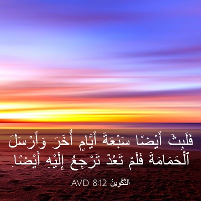 Picture 03 - اَلتَّكْوِينُ 8:12 AVD - فَلَبِثَ أَيْضًا سَبْعَةَ - Bible Verse Picture