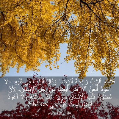Picture 03 - اَلتَّكْوِينُ 8:21 AVD - فَتَنَسَّمَ ٱلرَّبُّ - Bible Verse Picture