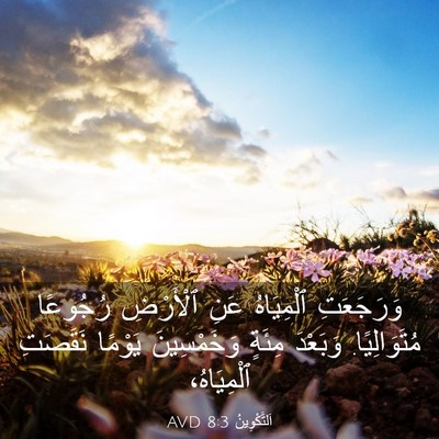 Picture 03 - اَلتَّكْوِينُ 8:3 AVD - وَرَجَعَتِ ٱلْمِيَاهُ - Bible Verse Picture