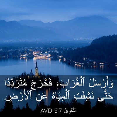 Picture 03 - اَلتَّكْوِينُ 8:7 AVD - وَأَرْسَلَ ٱلْغُرَابَ، - Bible Verse Picture