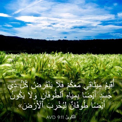 Picture 03 - اَلتَّكْوِينُ 9:11 AVD - أُقِيمُ مِيثَاقِي - Bible Verse Picture