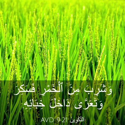 Picture 03 - اَلتَّكْوِينُ 9:21 AVD - وَشَرِبَ مِنَ ٱلْخَمْرِ - Bible Verse Picture