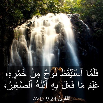 Picture 03 - اَلتَّكْوِينُ 9:24 AVD - فَلَمَّا ٱسْتَيْقَظَ - Bible Verse Picture