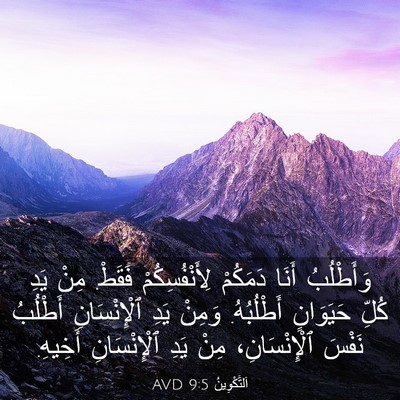 Picture 03 - اَلتَّكْوِينُ 9:5 AVD - وَأَطْلُبُ أَنَا دَمَكُمْ - Bible Verse Picture