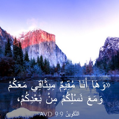 Picture 03 - اَلتَّكْوِينُ 9:9 AVD - «وَهَا أَنَا مُقِيمٌ - Bible Verse Picture