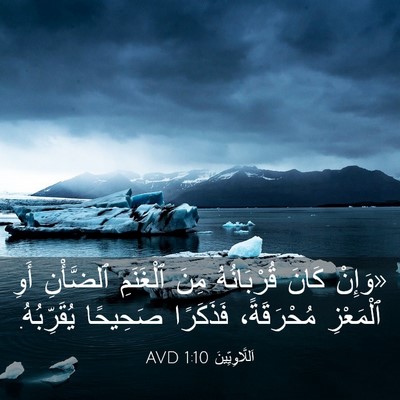 Picture 03 - اَللَّاوِيِّينَ 1:10 AVD - «وَإِنْ كَانَ قُرْبَانُهُ - Bible Verse Picture