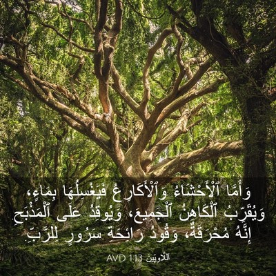 Picture 03 - اَللَّاوِيِّينَ 1:13 AVD - وَأَمَّا ٱلْأَحْشَاءُ - Bible Verse Picture