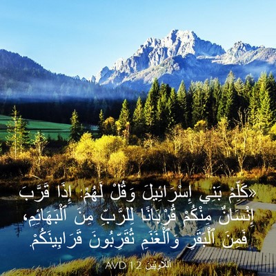Picture 03 - اَللَّاوِيِّينَ 1:2 AVD - «كَلِّمْ بَنِي - Bible Verse Picture