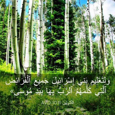 Picture 03 - اَللَّاوِيِّينَ 10:11 AVD - وَلِتَعْلِيمِ بَنِي - Bible Verse Picture