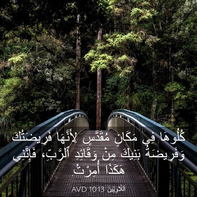 Picture 03 - اَللَّاوِيِّينَ 10:13 AVD - كُلُوهَا فِي مَكَانٍ - Bible Verse Picture