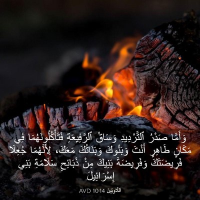 Picture 03 - اَللَّاوِيِّينَ 10:14 AVD - وَأَمَّا صَدْرُ - Bible Verse Picture