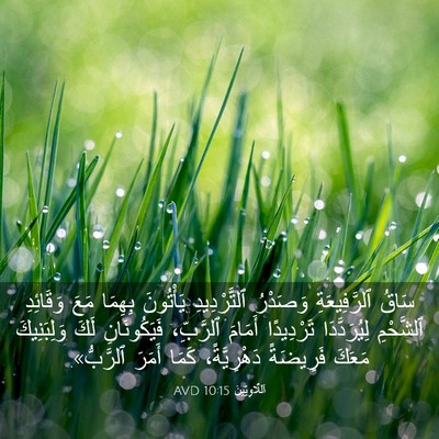 Picture 03 - اَللَّاوِيِّينَ 10:15 AVD - سَاقُ ٱلرَّفِيعَةِ - Bible Verse Picture