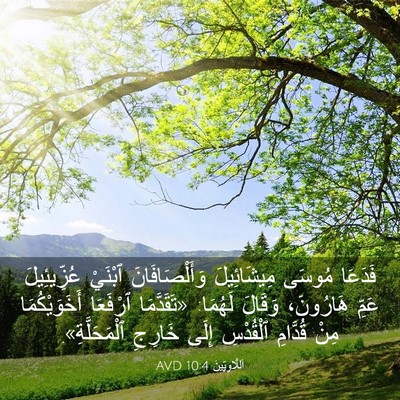 Picture 03 - اَللَّاوِيِّينَ 10:4 AVD - فَدَعَا مُوسَى - Bible Verse Picture