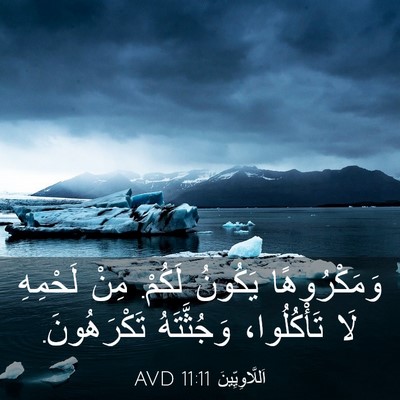 Picture 03 - اَللَّاوِيِّينَ 11:11 AVD - وَمَكْرُوهًا يَكُونُ - Bible Verse Picture
