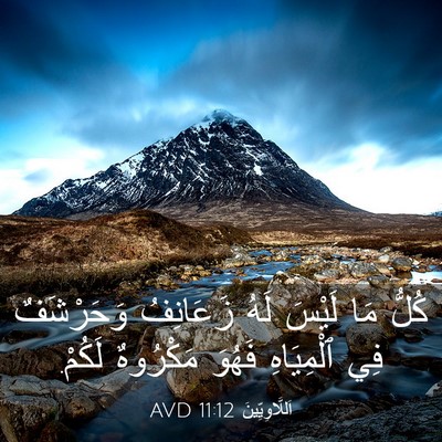 Picture 03 - اَللَّاوِيِّينَ 11:12 AVD - كُلُّ مَا لَيْسَ لَهُ - Bible Verse Picture