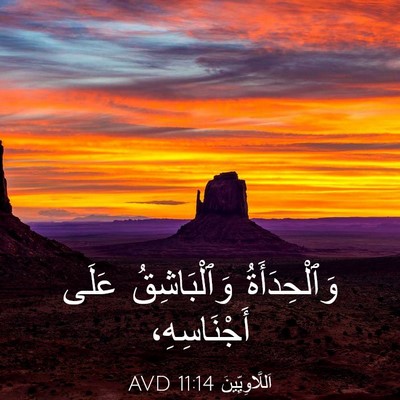 Picture 03 - اَللَّاوِيِّينَ 11:14 AVD - وَٱلْحِدَأَةُ - Bible Verse Picture