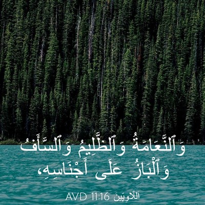 Picture 03 - اَللَّاوِيِّينَ 11:16 AVD - وَٱلنَّعَامَةُ - Bible Verse Picture