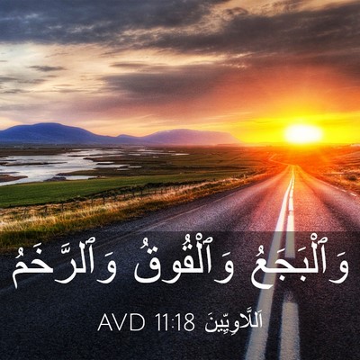Picture 03 - اَللَّاوِيِّينَ 11:18 AVD - وَٱلْبَجَعُ وَٱلْقُوقُ - Bible Verse Picture