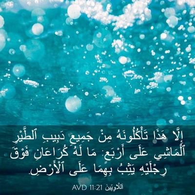 Picture 03 - اَللَّاوِيِّينَ 11:21 AVD - إِلَّا هَذَا - Bible Verse Picture