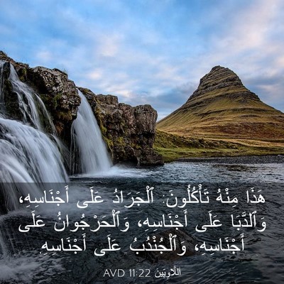 Picture 03 - اَللَّاوِيِّينَ 11:22 AVD - هَذَا مِنْهُ تَأْكُلُونَ: - Bible Verse Picture
