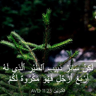 Picture 03 - اَللَّاوِيِّينَ 11:23 AVD - لَكِنْ سَائِرُ دَبِيبِ - Bible Verse Picture