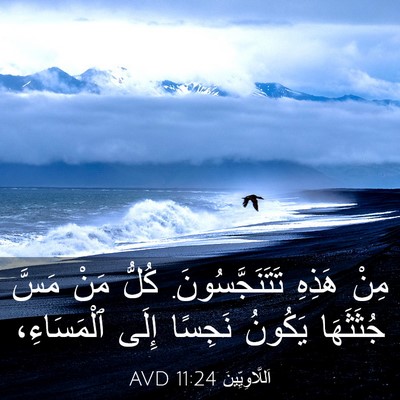Picture 03 - اَللَّاوِيِّينَ 11:24 AVD - مِنْ هَذِهِ - Bible Verse Picture