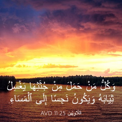 Picture 03 - اَللَّاوِيِّينَ 11:25 AVD - وَكُلُّ مَنْ حَمَلَ مِنْ - Bible Verse Picture