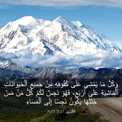 Picture 03 - اَللَّاوِيِّينَ 11:27 AVD - وَكُلُّ مَا يَمْشِي عَلَى - Bible Verse Picture