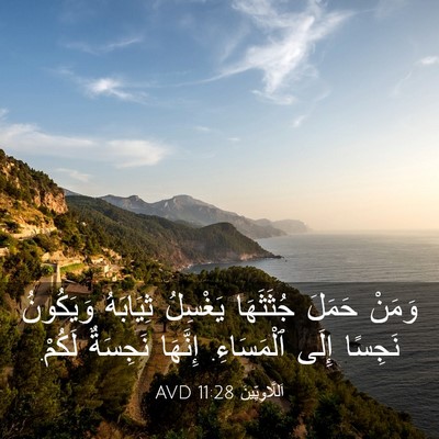 Picture 03 - اَللَّاوِيِّينَ 11:28 AVD - وَمَنْ حَمَلَ جُثَثَهَا - Bible Verse Picture