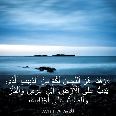Picture 03 - اَللَّاوِيِّينَ 11:29 AVD - «وَهَذَا هُوَ ٱلنَّجِسُ - Bible Verse Picture
