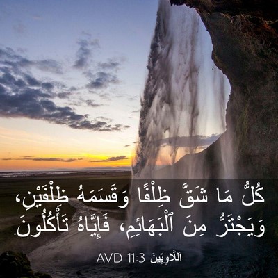 Picture 03 - اَللَّاوِيِّينَ 11:3 AVD - كُلُّ مَا شَقَّ ظِلْفًا - Bible Verse Picture