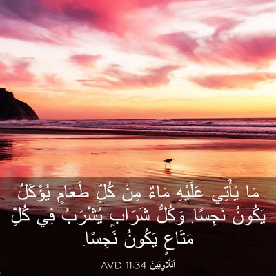 Picture 03 - اَللَّاوِيِّينَ 11:34 AVD - مَا يَأْتِي عَلَيْهِ مَاءٌ - Bible Verse Picture