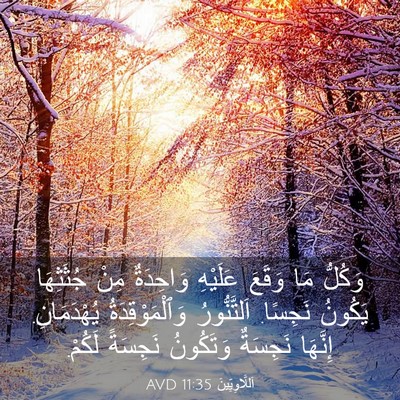 Picture 03 - اَللَّاوِيِّينَ 11:35 AVD - وَكُلُّ مَا وَقَعَ - Bible Verse Picture