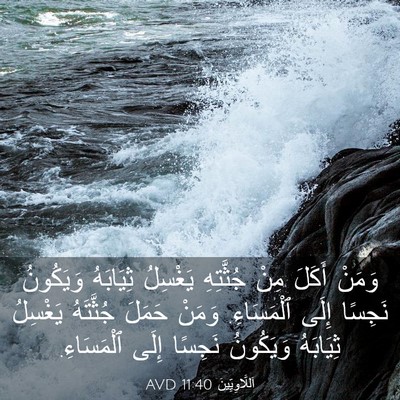 Picture 03 - اَللَّاوِيِّينَ 11:40 AVD - وَمَنْ أَكَلَ مِنْ - Bible Verse Picture