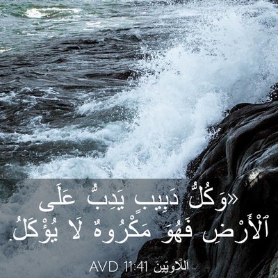 Picture 03 - اَللَّاوِيِّينَ 11:41 AVD - «وَكُلُّ دَبِيبٍ يَدِبُّ - Bible Verse Picture