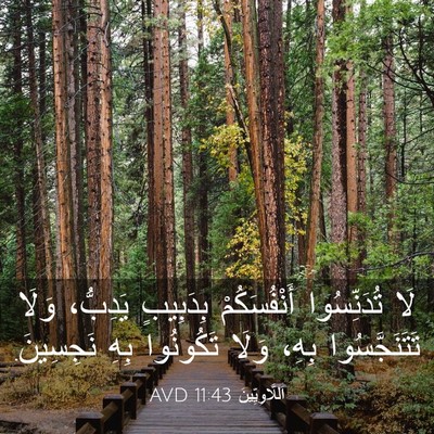 Picture 03 - اَللَّاوِيِّينَ 11:43 AVD - لَا تُدَنِّسُوا - Bible Verse Picture