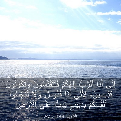 Picture 03 - اَللَّاوِيِّينَ 11:44 AVD - إِنِّي أَنَا ٱلرَّبُّ - Bible Verse Picture