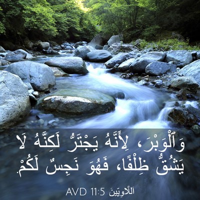 Picture 03 - اَللَّاوِيِّينَ 11:5 AVD - وَٱلْوَبْرَ، لِأَنَّهُ - Bible Verse Picture