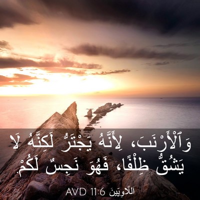 Picture 03 - اَللَّاوِيِّينَ 11:6 AVD - وَٱلْأَرْنَبَ، لِأَنَّهُ - Bible Verse Picture