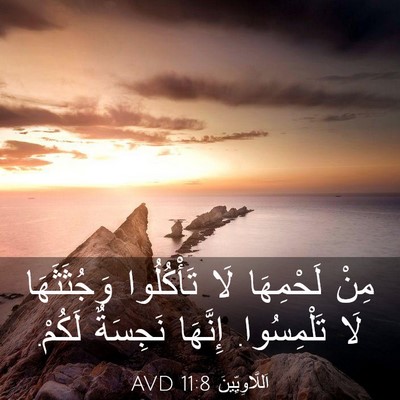 Picture 03 - اَللَّاوِيِّينَ 11:8 AVD - مِنْ لَحْمِهَا لَا - Bible Verse Picture
