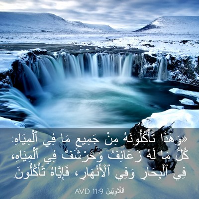 Picture 03 - اَللَّاوِيِّينَ 11:9 AVD - «وَهَذَا تَأْكُلُونَهُ - Bible Verse Picture