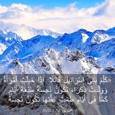Picture 03 - اَللَّاوِيِّينَ 12:2 AVD - «كَلِّمْ بَنِي - Bible Verse Picture