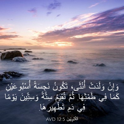 Picture 03 - اَللَّاوِيِّينَ 12:5 AVD - وَإِنْ وَلَدَتْ أُنْثَى، - Bible Verse Picture