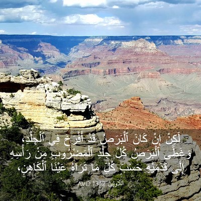 Picture 03 - اَللَّاوِيِّينَ 13:12 AVD - لَكِنْ إِنْ كَانَ - Bible Verse Picture