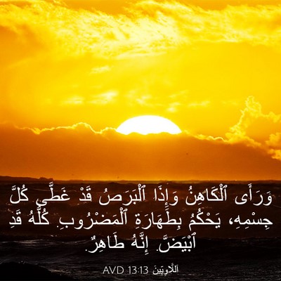 Picture 03 - اَللَّاوِيِّينَ 13:13 AVD - وَرَأَى ٱلْكَاهِنُ - Bible Verse Picture