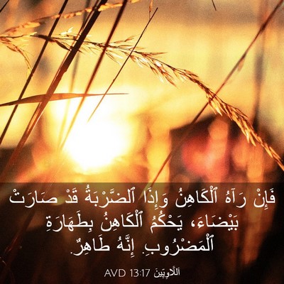 Picture 03 - اَللَّاوِيِّينَ 13:17 AVD - فَإِنْ رَآهُ ٱلْكَاهِنُ - Bible Verse Picture