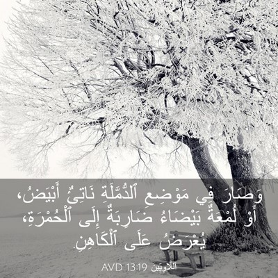 Picture 03 - اَللَّاوِيِّينَ 13:19 AVD - وَصَارَ فِي مَوْضِعِ - Bible Verse Picture