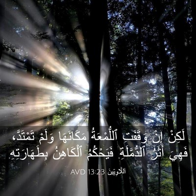 Picture 03 - اَللَّاوِيِّينَ 13:23 AVD - لَكِنْ إِنْ وَقَفَتِ - Bible Verse Picture