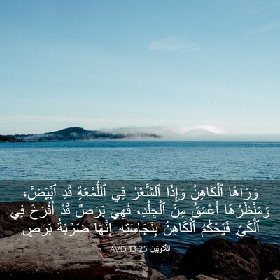 Picture 03 - اَللَّاوِيِّينَ 13:25 AVD - وَرَآهَا ٱلْكَاهِنُ - Bible Verse Picture